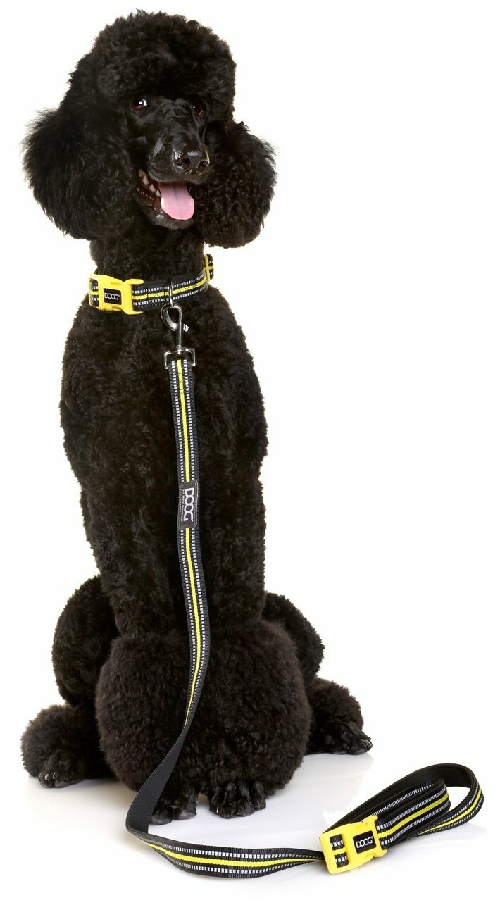 Поводок регулируемый для собак с фастексом на ручке DOOG "NEON BOLT", чёрно-жёлтый, 130-160/2.5см (А - фотография № 3