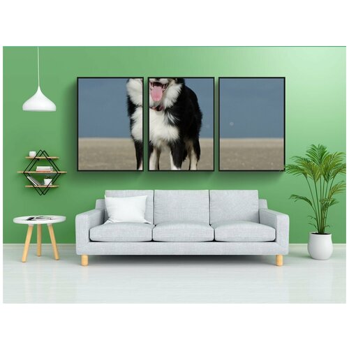 фото Набор модулных постеров для интерьера "пляж, бордер-колли, веселье" 60x90 см. в тубусе, без рамки lotsprints