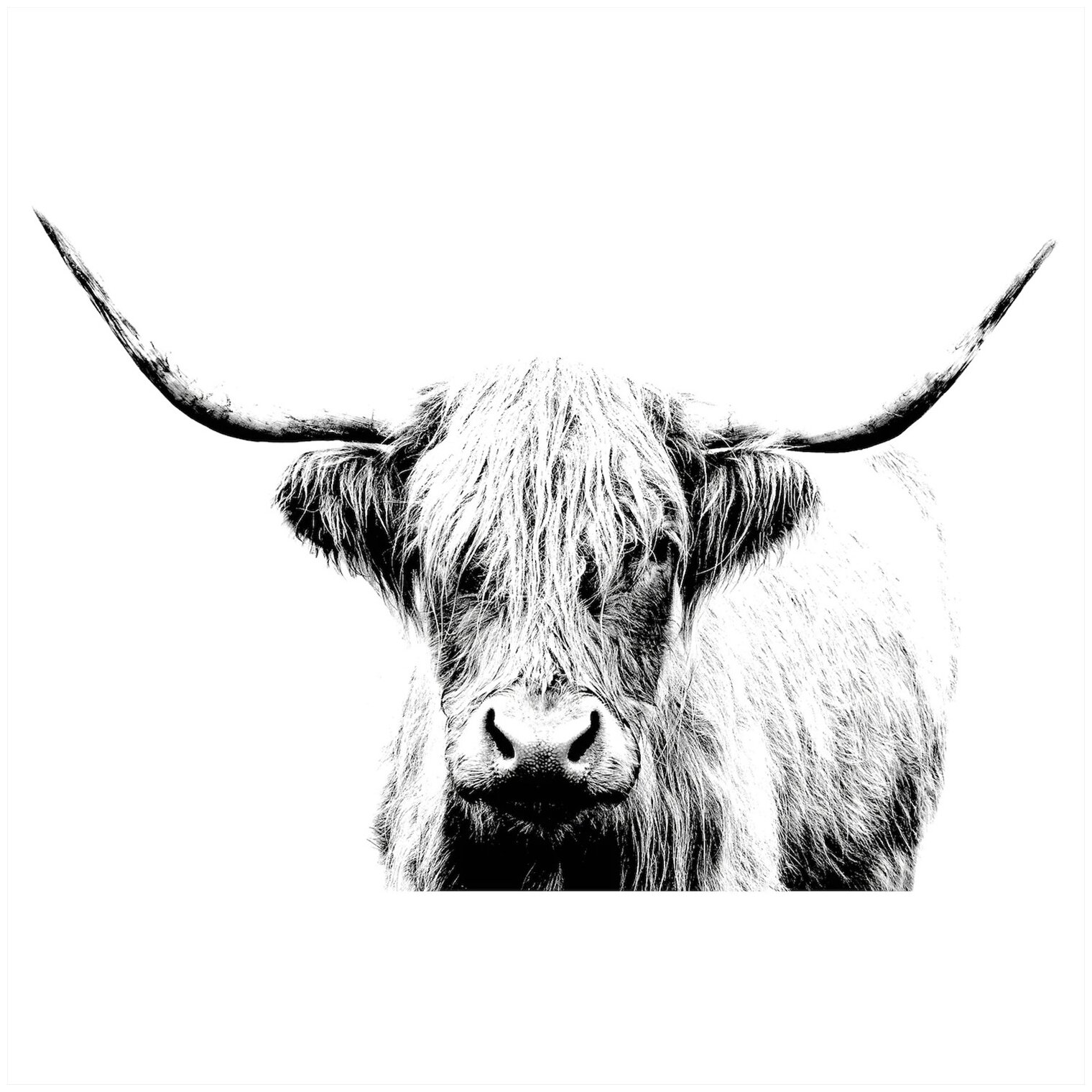 Картина ИКЕА БЬЁРКСТА Шотландская корова 118х78 см