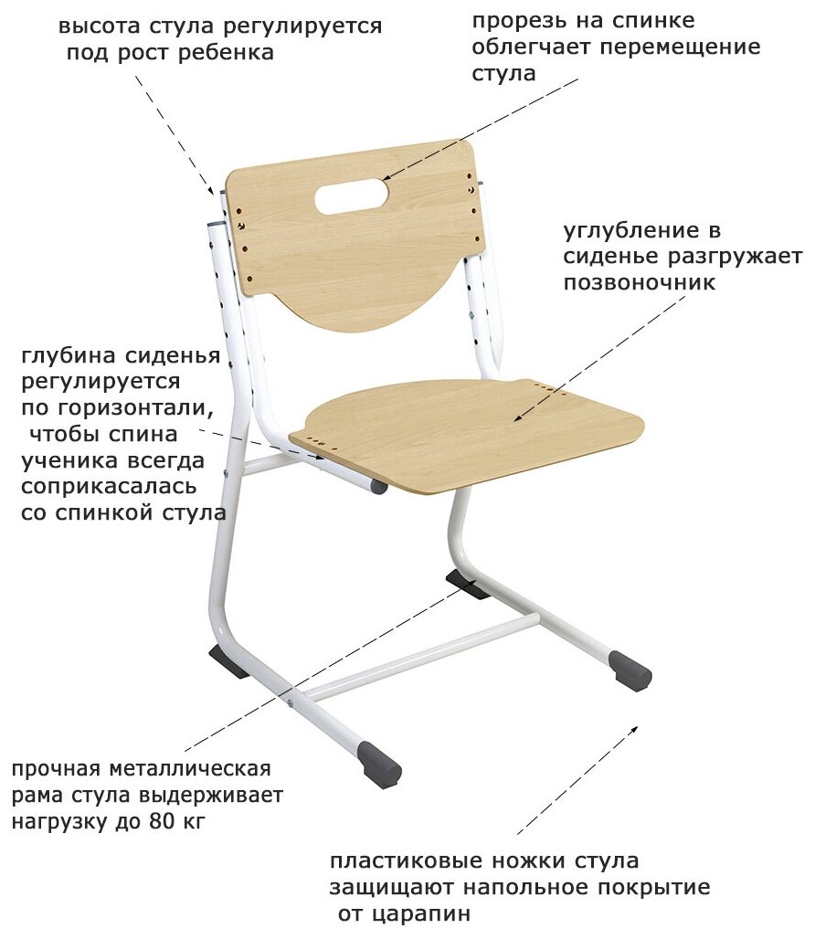 Растущий детский стул Астек-Элара "SF-3" фанера береза/ноги белые - фотография № 3