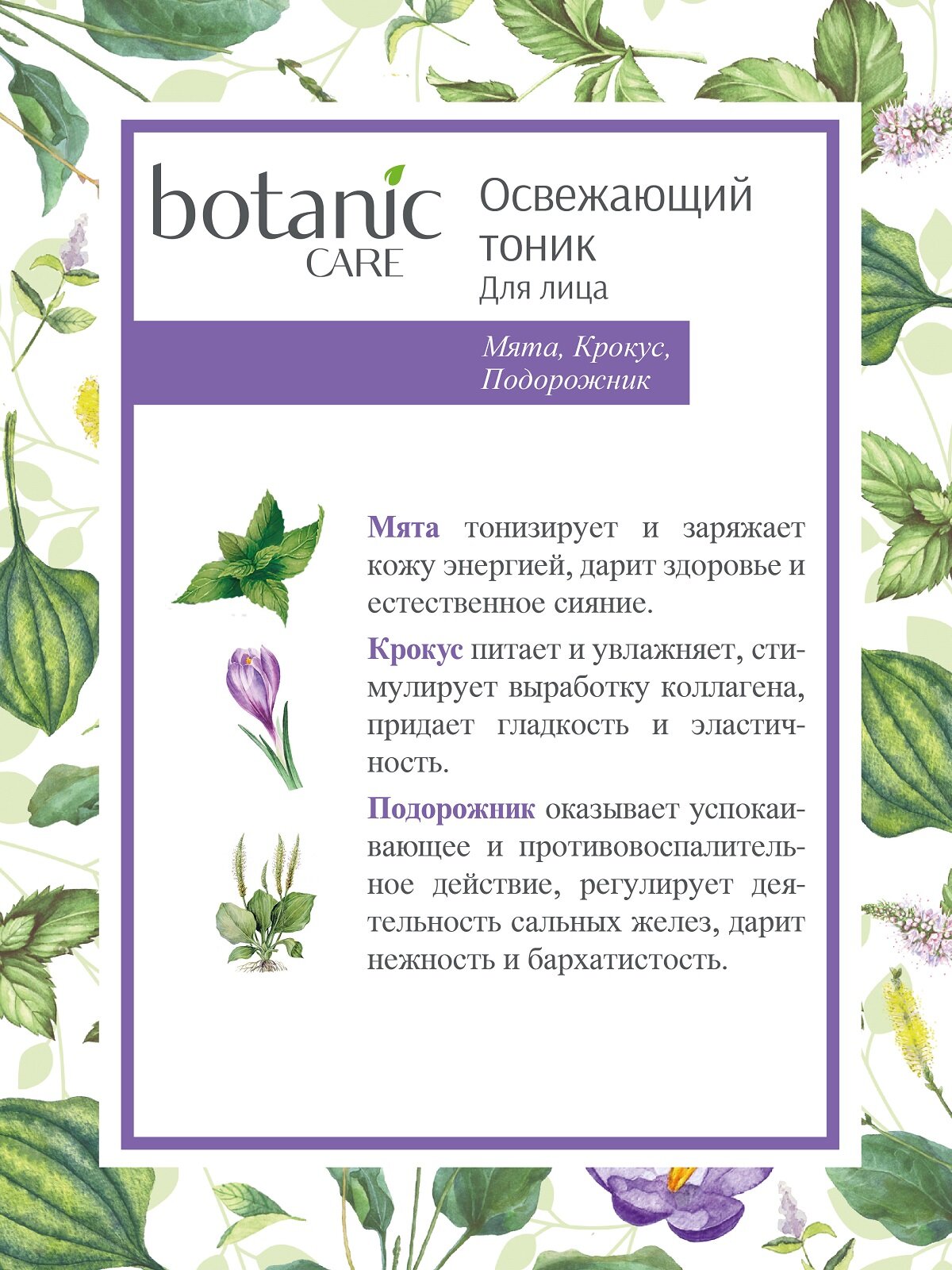 Тоник освежающий для лица Botanic care 200 мл Nicole Laboratory - фото №2