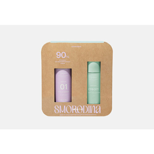 Набор для ухода за лицом для жителей мегаполиса, дневной