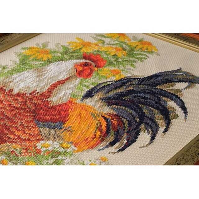 Набор для вышивания крестиком 'Петух', 30*40 см, бежевая канва, Риолис — фото 1