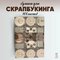свет и тень галактики