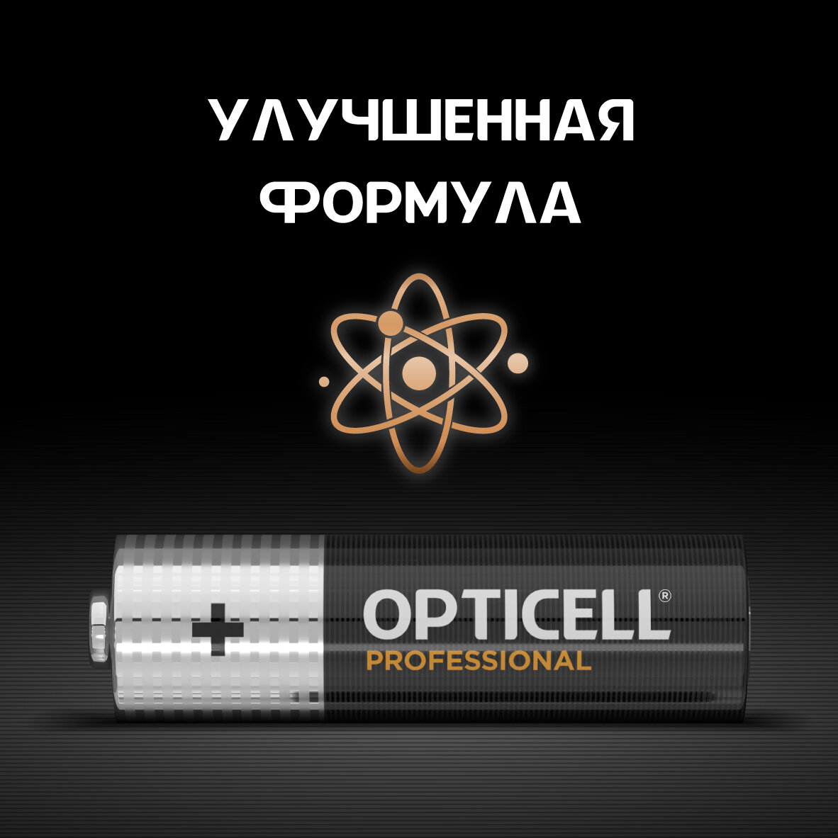 Элемент питания алкалиновый 12AA/LR6 Professional Opticell