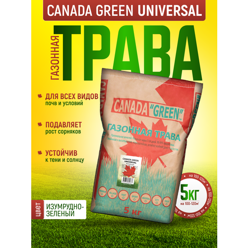 Газонная трава семена Канада Грин Универсальная 5 кг / Канада Грин Универсальный 5кг/ семена газона райграс, мятлик, овсяница