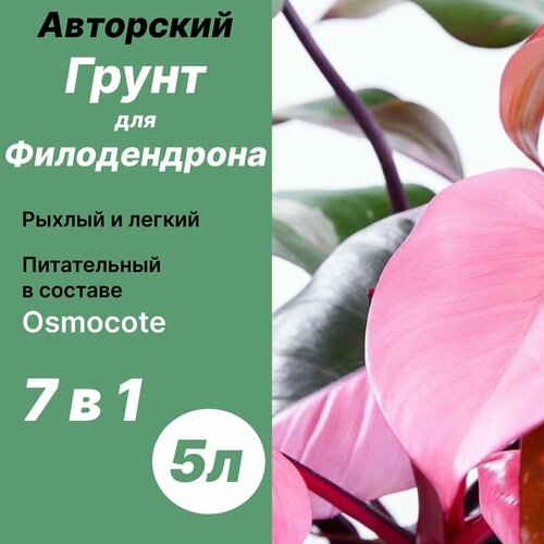 Грунт для Филодендрона 5л / Дом фиалок грунт для фиалок 6 5л