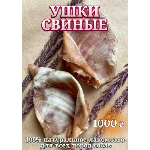 Натуральные лакомства для собак "Хищный нос" - Ушки свиные