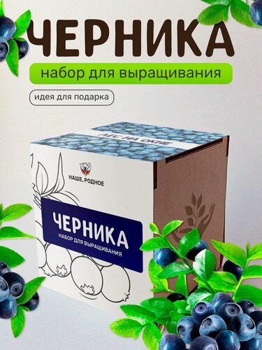 Изображение товара Набор для выращивания растений Сад на окне "Черника", в деревянном горшочке
