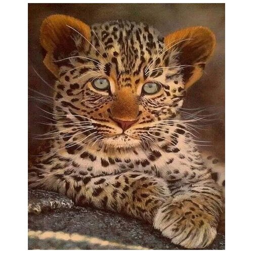 Картина по номерам Colibri Котенок леопарда 40х50 см Холст на подрамнике картина по номерам colibri котенок 40х50 см холст на подрамнике
