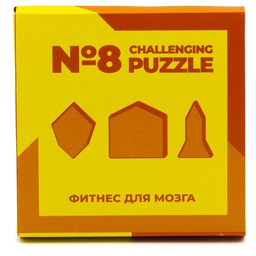 Головоломка IQ Puzzle Challenging №8