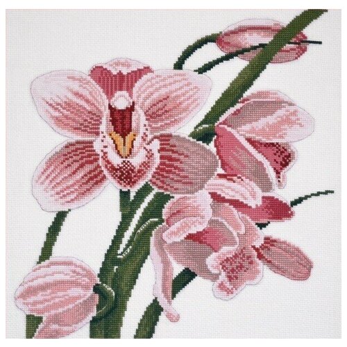 фото Набор для вышивания (крестом) овен зов орхидеи , 29x30см