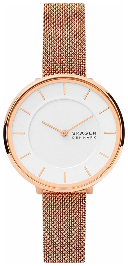 Наручные часы Skagen SKW3013