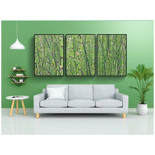 фото Набор модулных постеров для интерьера "бамбук, бамбука тростника, растения" 60x90 см. в тубусе, без рамки lotsprints