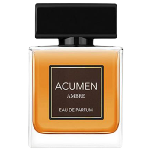 Купить Dilis Parfum Acumen Ambre парфюмерная вода 100 мл для мужчин