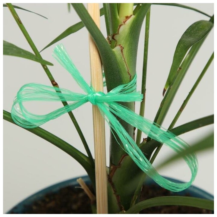 Шпагат для подвязки растений, 100 м, полипропилен, зелёный, Greengo - фотография № 3