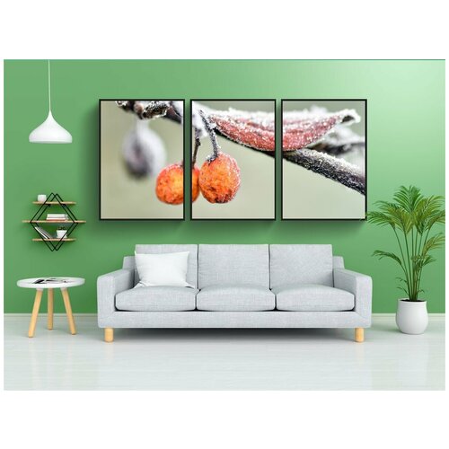 фото Набор модулных постеров для интерьера "ягоды, филиал, мороз" 60x90 см. в тубусе, без рамки lotsprints