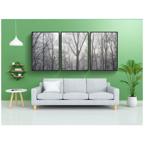 фото Набор модулных постеров для интерьера "рассвете деревья сквозь туман, зима, дерево" 60x90 см. в тубусе, без рамки lotsprints