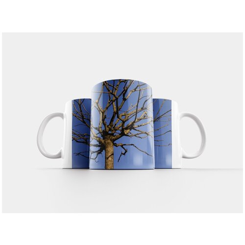 фото Кружка "дерево, платан, зима" 320 мл lotsprints