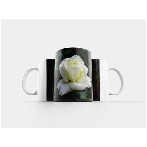 фото Кружка "роза, полевой цветок, цветок" 320 мл lotsprints