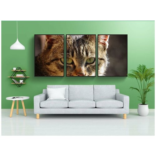 фото Набор модулных постеров для интерьера "кошка, котенок, домашний питомец" 60x90 см. в тубусе, без рамки lotsprints