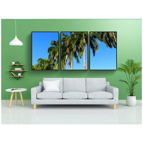 фото Набор модулных постеров для интерьера "пальмы, кокосовая пальма, ладонь" 60x90 см. в тубусе, без рамки lotsprints