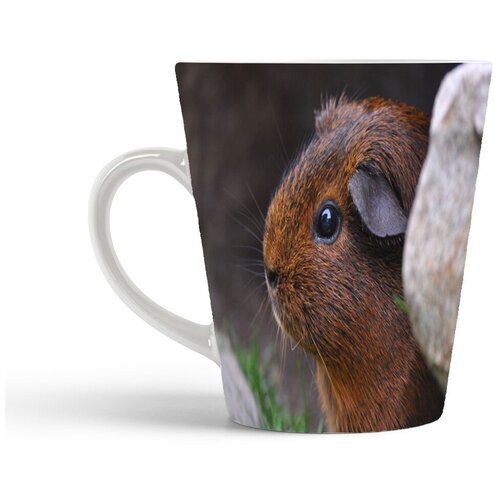 фото Кружка-латте coolpodarok морская свинка