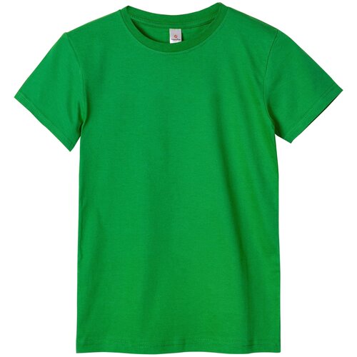 Футболка HappyFox, размер 11 (146), зеленый футболка happyfox размер 11 146 синий