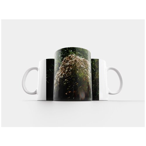 фото Кружка "городской эониум, соцветие, расцветает" 320 мл lotsprints