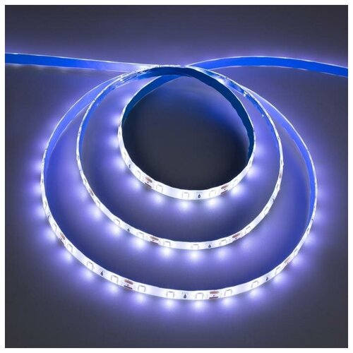 Ecola C  Ecola PRO 5 , IP65, SMD2550, 60 LED/, 19 /, 12 , 6000