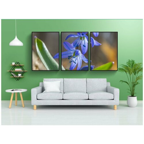 фото Набор модулных постеров для интерьера "шилла, цветы, синие цветы" 60x90 см. в тубусе, без рамки lotsprints