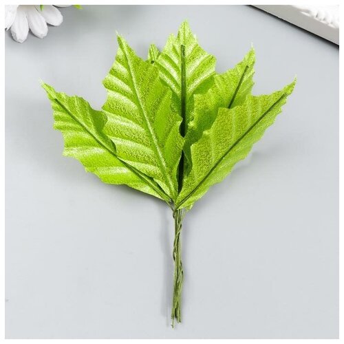 Купить Декор для творчества Листья ярко-зелёные с блеском набор 10 шт 9х4, 5 см (1 шт.), ProMarket, зеленый