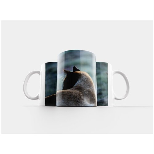 фото Кружка "кот, сиамский, котенок" 320 мл lotsprints