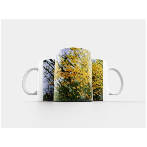 фото Кружка "расцветает, весна, форзиция" 320 мл lotsprints