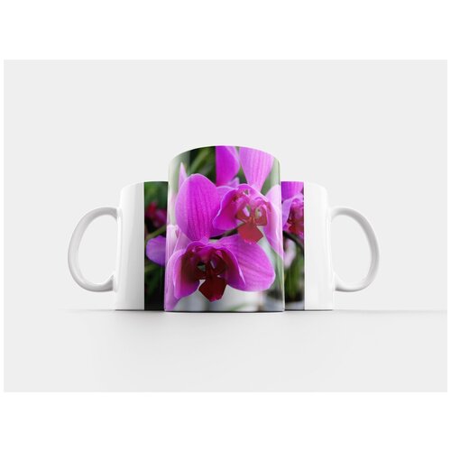 фото Кружка "оранжевая орхидея, орхидеи, цветок" 320 мл lotsprints