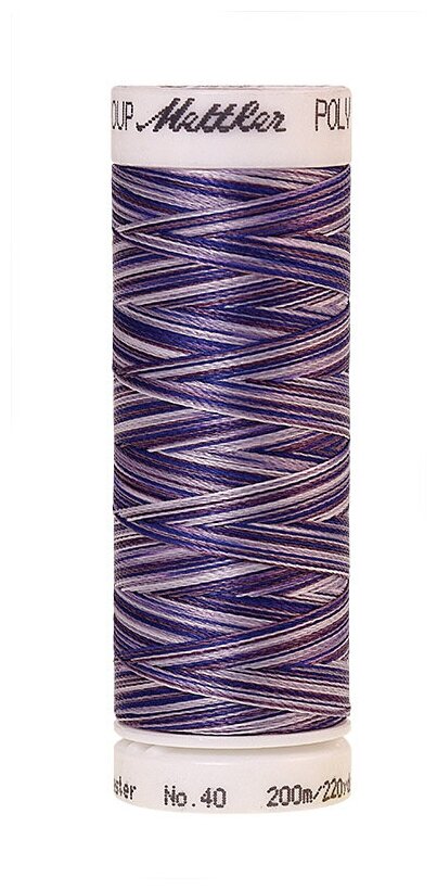 Нить для вышивания мультиколор, POLY SHEEN MULTI METTLER, 200 м 9921 Violet Hues