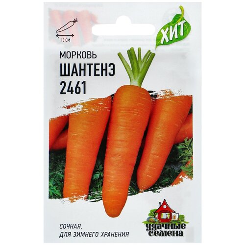 Семена Морковь Шантенэ 2461, 2 г серия ХИТ х3