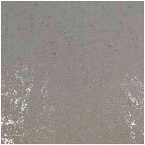 обои Bruno Zoff Silver 60118-4 6700₽