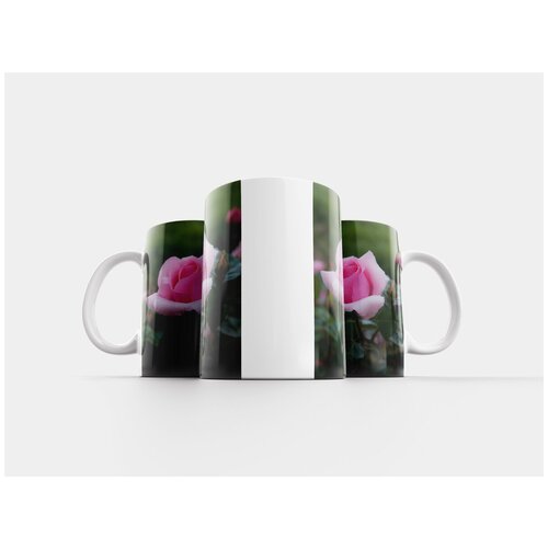 фото Кружка "цветы, роуз, солнечный свет" 320 мл lotsprints