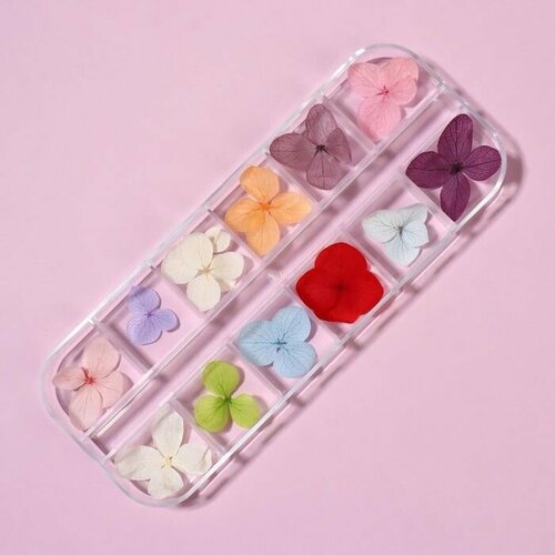 Сухоцветы для маникюра 12 видов нежные пластик футл пакет QF 488₽