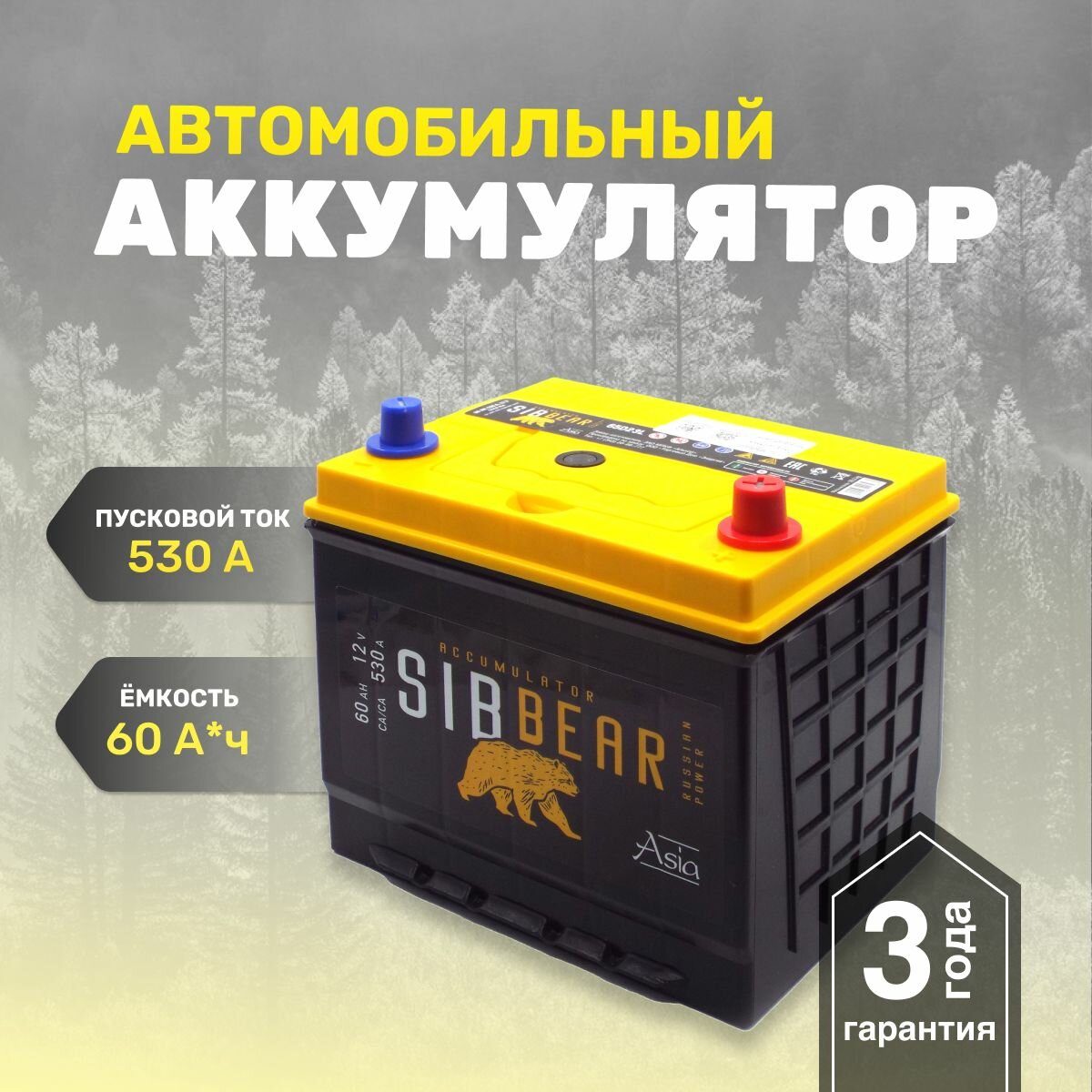 Аккумулятор автомобильный SIBBEAR ASIA 65D23L 60 А*ч о. п 230х175х225 Обратная полярность