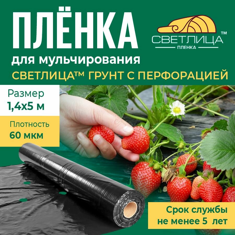 Пленка для мульчирования Светлица Грунт 60 мкм 14х5 м с перфорацией черная