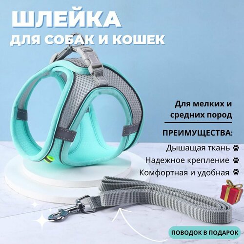 Шлейка дышащая анатомическая со светоотражающими элементами для собак мелких пород и кошек с поводком