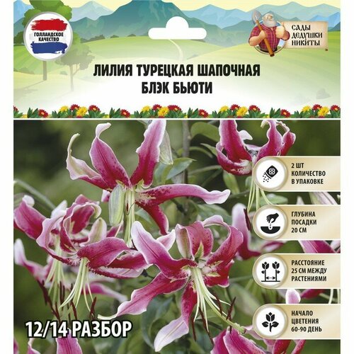 Сады Дедушки Никиты Лилия Турецкая шапочная 