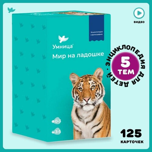 Умница Мир на ладошке Выпуск Тигр 1822₽