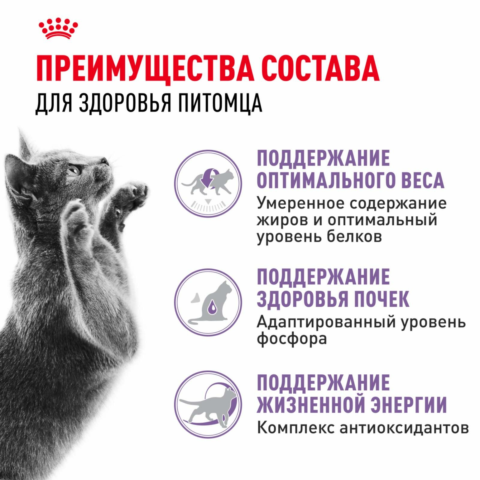 Royal Canin Корм сухой полнорационный сбалансированный для стерилизованных кошек в возрасте 7-12 лет, Sterilised 7+ — фото 1
