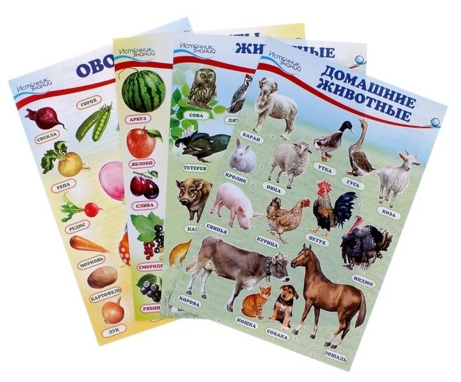 Набор плакатов "Домашние, лесные животные, фрукты и ягоды, овощи" с заданием, А4