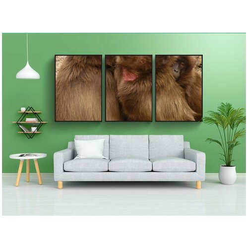 фото Набор модулных постеров для интерьера "бабуин, обезьяна, животное" 60x90 см. в тубусе, без рамки lotsprints