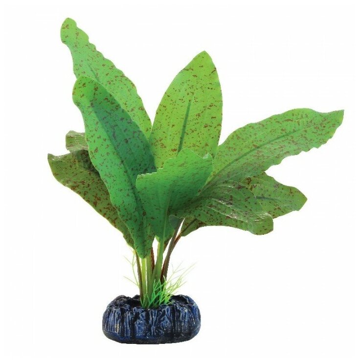 Растение шелковое Эхинодорус крапчатый, 70мм, (пакет), Laguna
