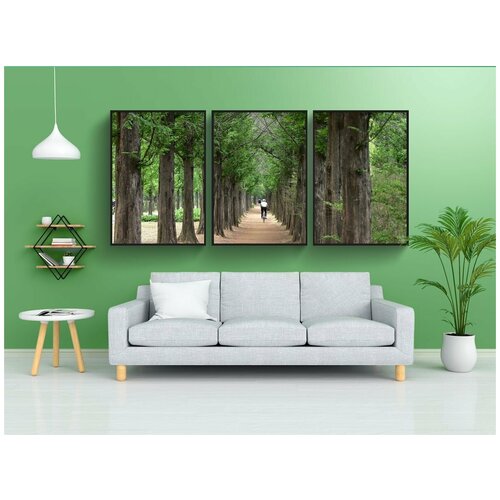 фото Набор модулных постеров для интерьера "метасеквойя, метасеквойя дерево, зеленое дерево" 60x90 см. в тубусе, без рамки lotsprints